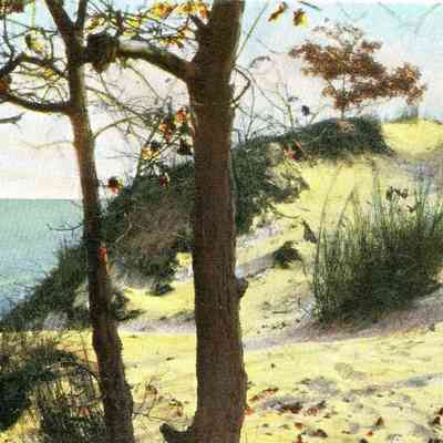 CWPC-0292SandDune.JPG 587KB