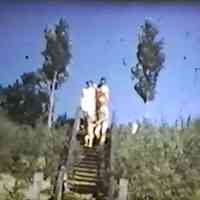          Family desending the stairs for a day of fun at Oval Beach
   