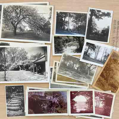 Photographs of 2234 Lakeshore Dr. property