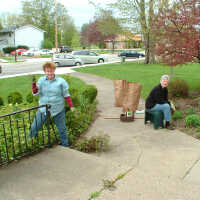          Band-aid weeding by Maryrita Peters and Dottie Lyon
   