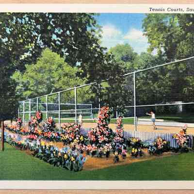Saugatuck Postcards