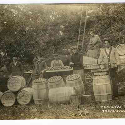 CWPC-0568Fennville-PackingApples.JPG 321KB: Workers packing apples in barrels