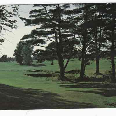 SaugatuckGolf.jpg 1.7MB