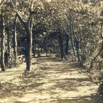 BB-pc-walktoTheArtSchool.jpg 371KB: May Heath collection