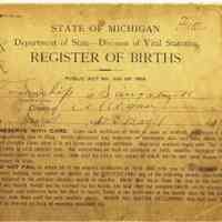          SaugBirths1912-17.jpg 861KB
   