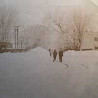Interurban tracks in snow