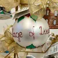          Village of Douglas ball with pointsettas
   