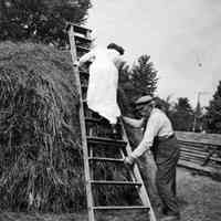          Book_2003_4.03B.jpg 375KB; Climbing the Haystack ca. 1900
Farmer Schumann working on the farm.
   