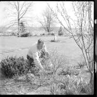          Charles Mann's Flower Basket picture number 2
   