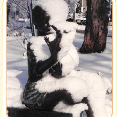 Frozen Bronze