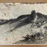 Saugatuck Dunes