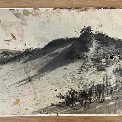 Saugatuck Dunes
