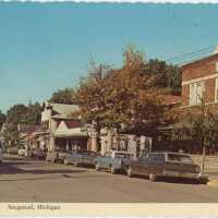          Street view of Saugatuck Postcard; Several cars line a street in Saugatuck with shops in the background.
   