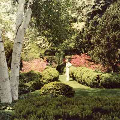 GreenAlbum-Scan10099.JPG 289KB: Sample image from Mann's green photo album