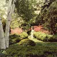          GreenAlbum-Scan10099.JPG 289KB; Sample image from Mann's green photo album
   