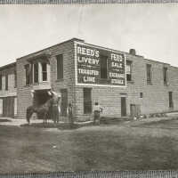 Reed