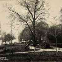          Ferry Landing Saugatuck Michigan 30 picture number 1
   