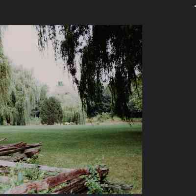 https://www.flickr.com/photos/94921703@N00/3371775695: Willow Bend Farm - Scene From 1970's - Glenn, Michigan
This used to be a beautiful tourist destination that also has a large barn and related outbuildings that were, in the 1960's, cleaned (very little alteration done on the inside) and used as a gift shop. The set up would accommodate shoppers and curiosity seekers and offer a place for weary road travelers to rest. They specialized in imports from Japan and also had a large variety of other items such as a plethora of hand blown and colorful Mexican glass items of which were displayed in the many lovely windows. It eventually sold off to an antique dealer. Now there is a slew of rusted, wire garden art spread on the front yard along with various other junk items. It quickly lost its original, magical charm. The current atmosphere overpowers the sense of lingering quietude.