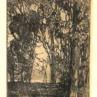 The Dark Wood Saugatuck