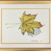 Maple Leaf by Spike O