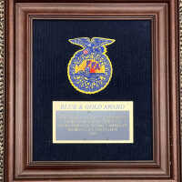          C. FAA Blue and Gold Award 2005
   