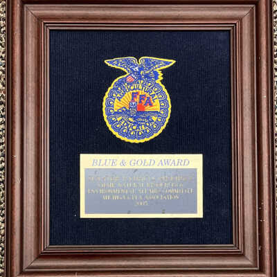 C. FAA Blue and Gold Award 2005