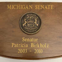          E. Michigan Senate box
   