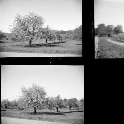 653Orchards