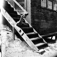          Stairway_S_276.jpg 438KB
   