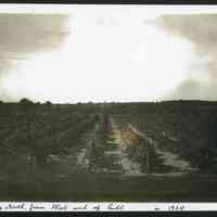          MRT-LookingN-FrmWEndofHill-1924.JPG 451KB
   