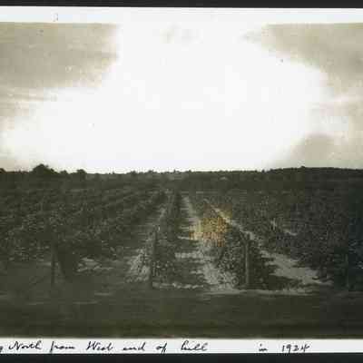 MRT-LookingN-FrmWEndofHill-1924.JPG 451KB