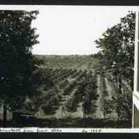          MRT-LookingNFromFrtStepsofHoH-1924.JPG 571KB
   