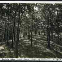          MRT-LookingWestFrm-HoH-1924.JPG 765KB
   
