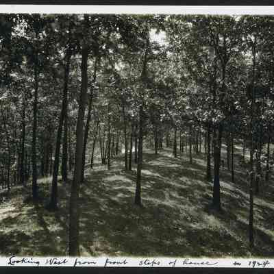 MRT-LookingWestFrm-HoH-1924.JPG 765KB