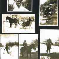          MRT-OnTheFarm-c1916.JPG 1MB
   