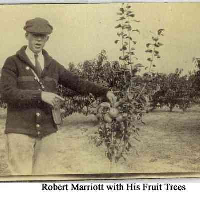 MRT-RobertMarriott-WithFruitTree.JPG 497KB
