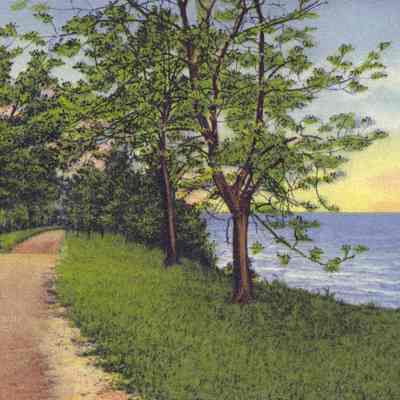 LakeshoreDrive.jpg 1.5MB