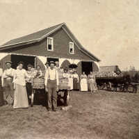 William Wark Farm Peach Picking 1902