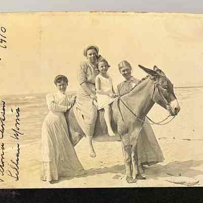 Hilda Sterzing, Gladys Sterzing, Victoria Carlson?, Lilian Morris: Beach at Saugatuck with Dynamite the Donkey
Dynamite Hilda S., Gladys G, Victoria Carson, Lillian Morris, 1910