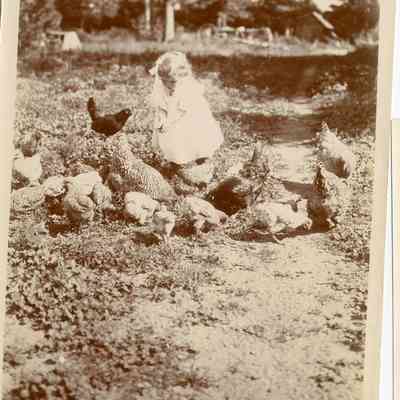 At Orchard cabin Douglas.jpg 1.5MB: Bucolic scene of child with chickens