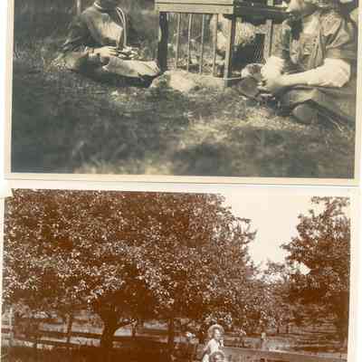 Orchard cabin ca 1910 C.jpg 3.1MB