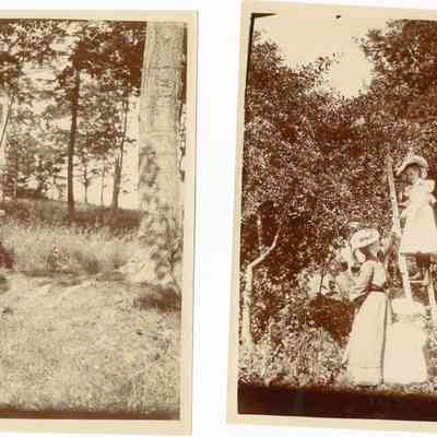Orchard house ca 1910 A.jpg 3.2MB