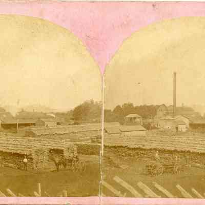 Wallin Tannery Dingleville.jpg 4.7MB: Luman in buggy