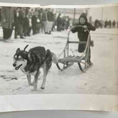 Photo 2 - 5x6" print: back blank except Prosch-Jensen's stamp