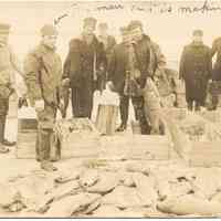 Fishing, Commerical - digital images