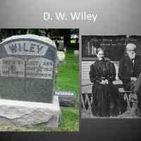          6. WILEY- I am D. W. Wiley, I arrived here as a lad of 20 bent on going into the fruit growing business and went into partnership with B. S. Williams in Douglas. We were among the first in the county to plant grape vines. Later I bought 80 acres of my own and planted, in addition to 15 acres of peach trees, pears, plums, apples, cherries, strawberries, blackberries, raspberries, gooseberries and currents. I was a charter member and 25-year president of the Saugatuck and Ganges Pomological Society and elected a representative to the Michigan legislature in 1875 where I helped to pass a law to enforce  inspection of peach trees for “yellows.”  After I died in 1927 at the age of 90 they named a road after me.
[1837-1927 ]
   