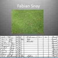         11. SNAY- I am Fabian Snay. People think of the Snay family as Native American, but that’s only partially true. I am French-Canadian and came to Michigan in the 1830s as a fur trader. I helped Louis Campau with the settlement at Grand Rapids. Then we moved to Pigeon Creek, Ottawa County, where we made our living by fishing. Finally, before 1870, the whole family, my Native American wife and eight children moved to  Saugatuck, where two of my girls married Shashaguay men. The Saugatuck Snays were known as Great Lakes sailors, and later ship’s engineers.
[d. 1876 ]
   