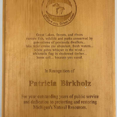 Michigan Office of the Great Lakes, 2012
