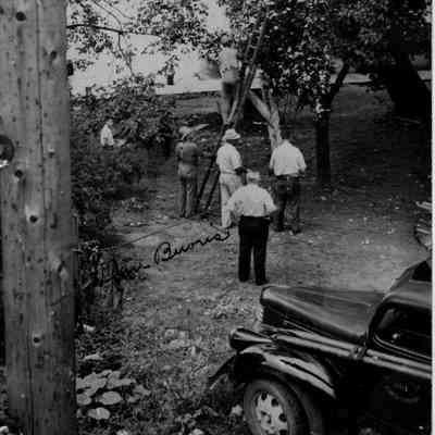 Storm damage and electric line repair