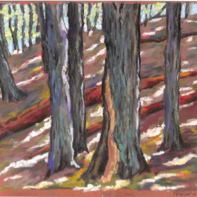 Woods Walk by Teresa O'Brien